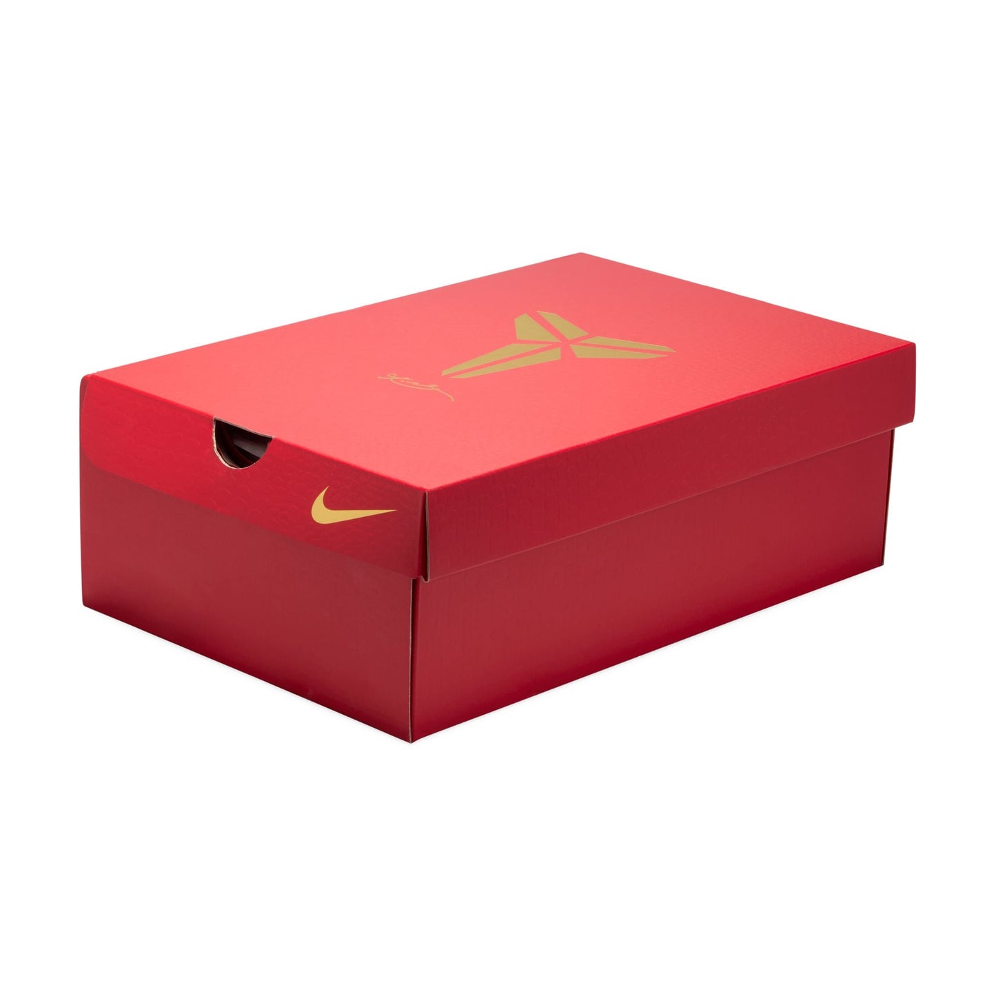 Big Kid's Nike Kobe V Protro - "Y.O.T.M. Eggplant"