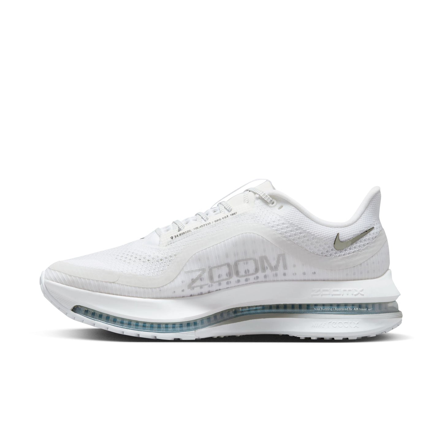 Men's Nike Pegasus Premium - "Metallic Silver"