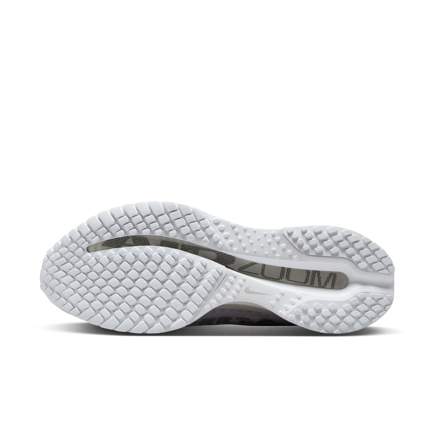 Men's Nike Pegasus Premium - "Metallic Silver"