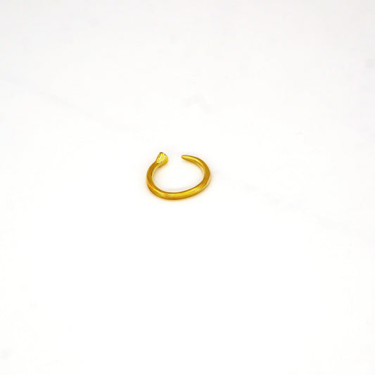 Open Band Ring | Pinde