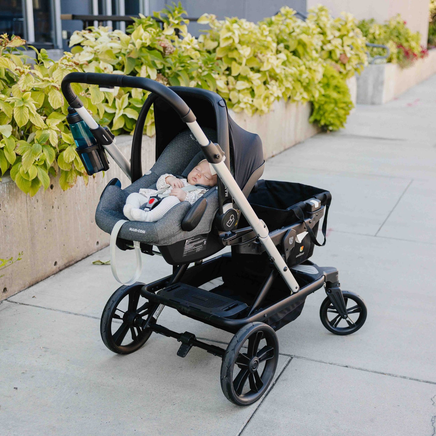 Trio Trolly Car Seat Adapter